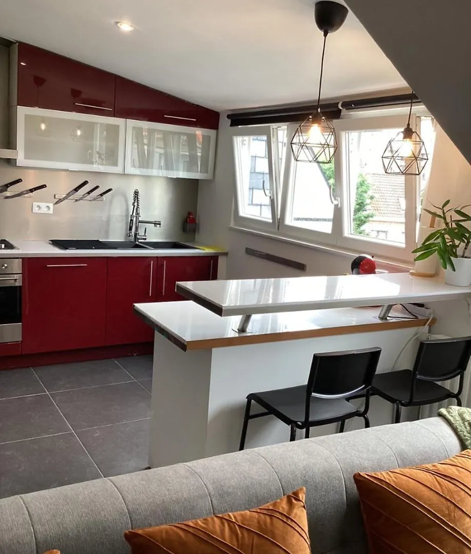Appartement Woluwe Urban Oasis à Bruxelles 0*,